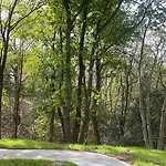 El Bosque De * Cubas (Cantabria)