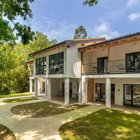 El Bosque De * Cubas (Cantabria)