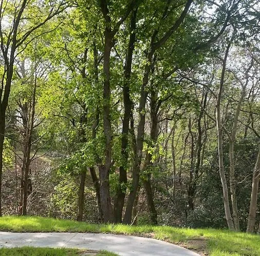 El Bosque De * Cubas (Cantabria)