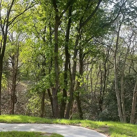 El Bosque De Cubas * Cubas (Cantabria)